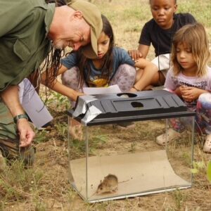 Riaan van Zyl runs small-mammal safaris
