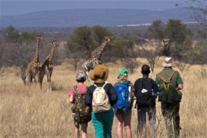 Riaan's students encounter big mammals too