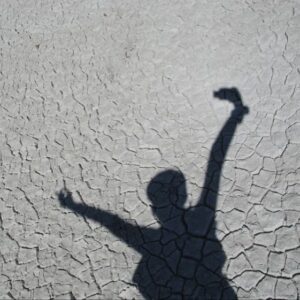 Storycatcher_Shadow